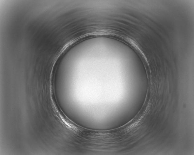 X0000059230845200510140824