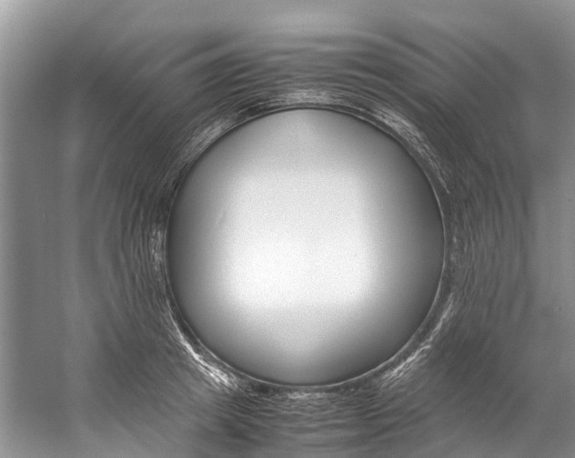 X0000059230849200510140824