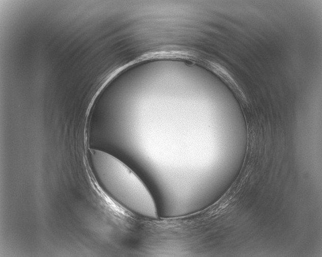 X0000059230852200510140824