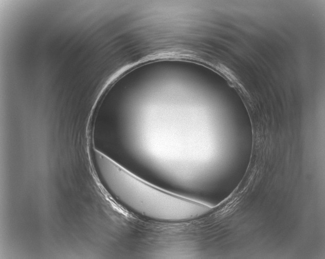 X0000059230854200510140824