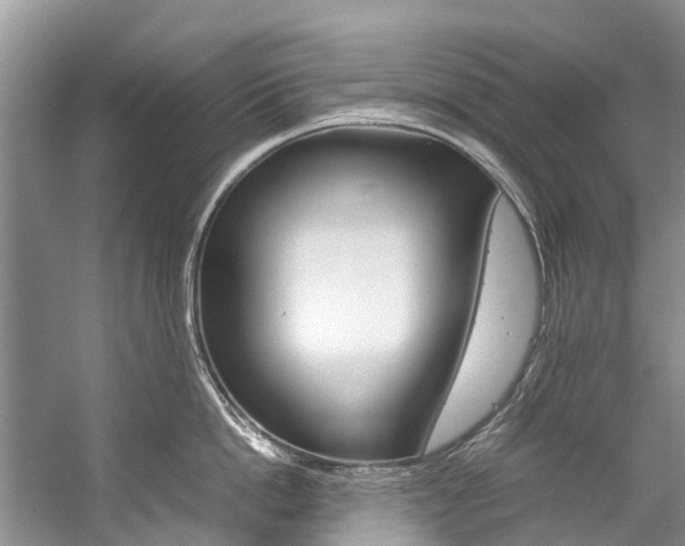X0000059230862200510140825