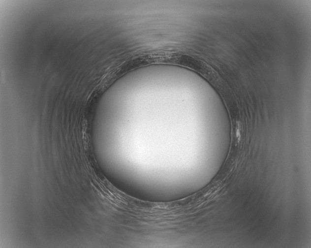 X0000059230867200510140824