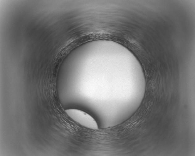 X0000059230870200510140824