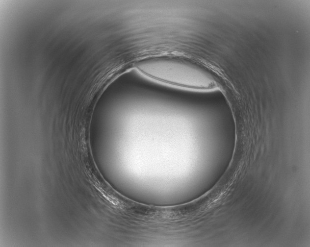 X0000059230881200510140823