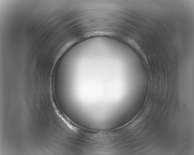 X0000059230898200510140823