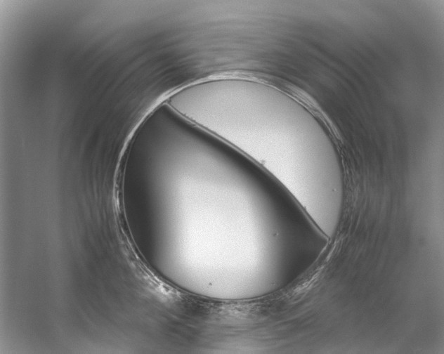 X0000059230908200510140823