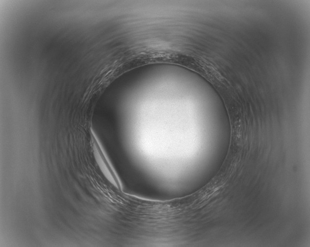 X0000059230916200510140822