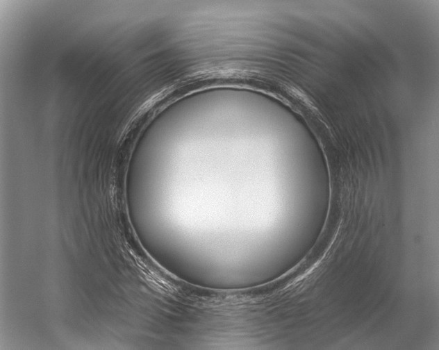 X0000059230922200510140822