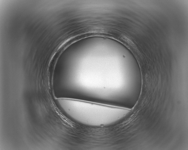 X0000059230931200510140822