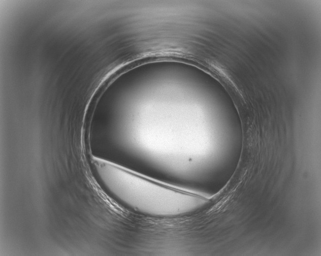 X0000059230932200510140822