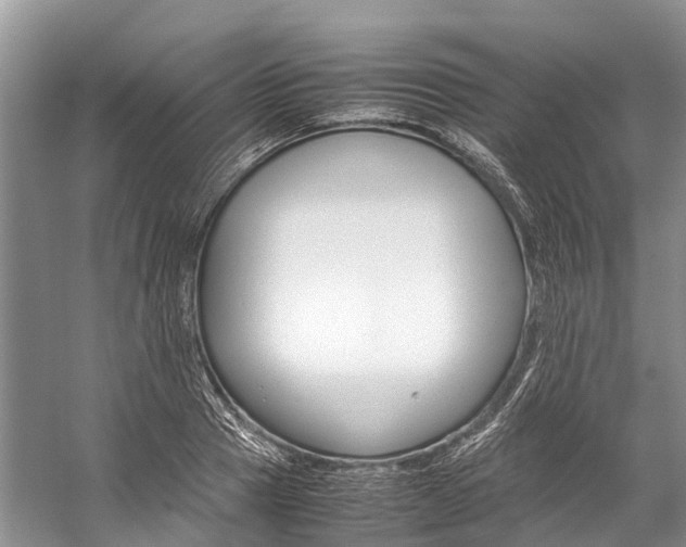 X0000059230937200510140822