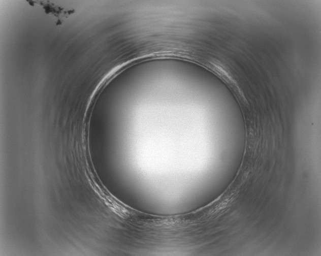 X0000059230948200510140823