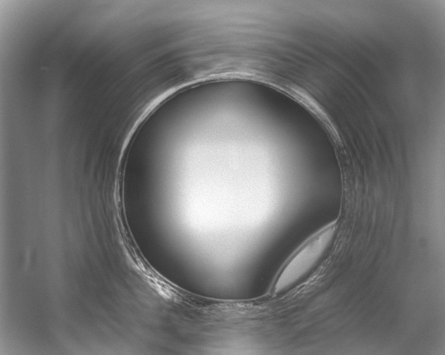 X0000059230956200510140823