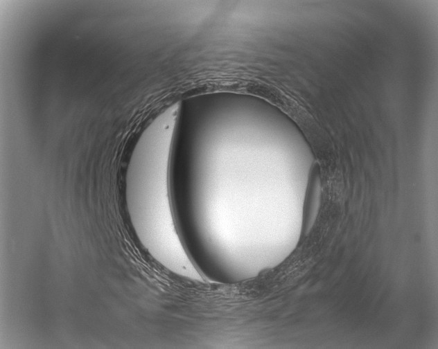 X0000059230961200510140822