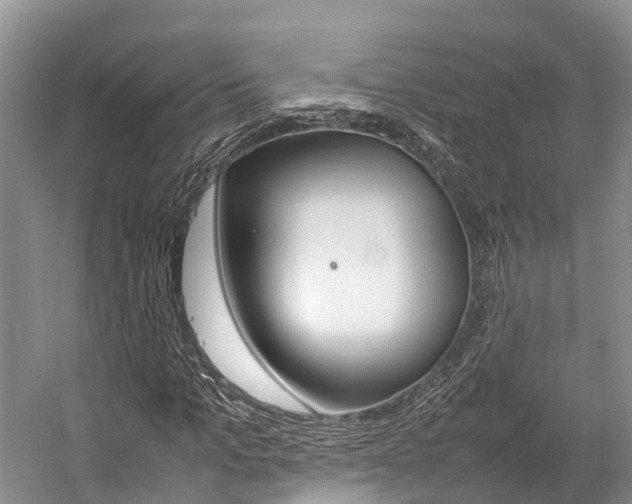 X0000059230965200510140822