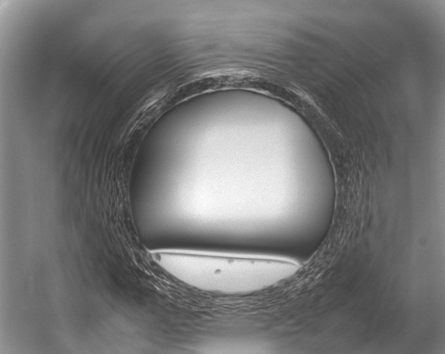 X0000059230967200510140822