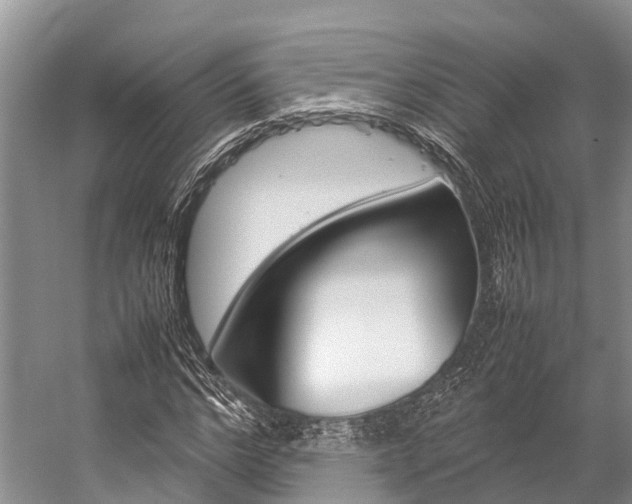 X0000059230968200510140822