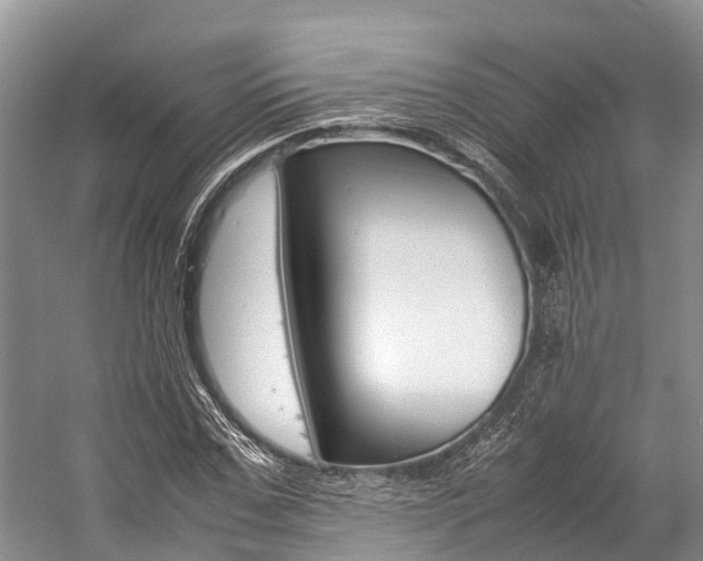 X0000059230971200510140822