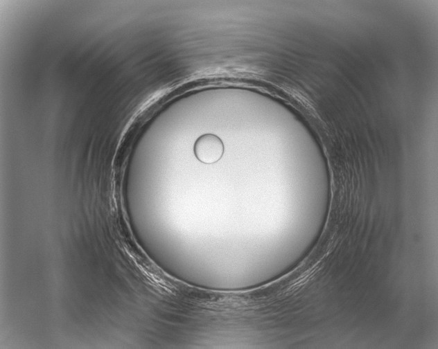 X0000059230974200510140822