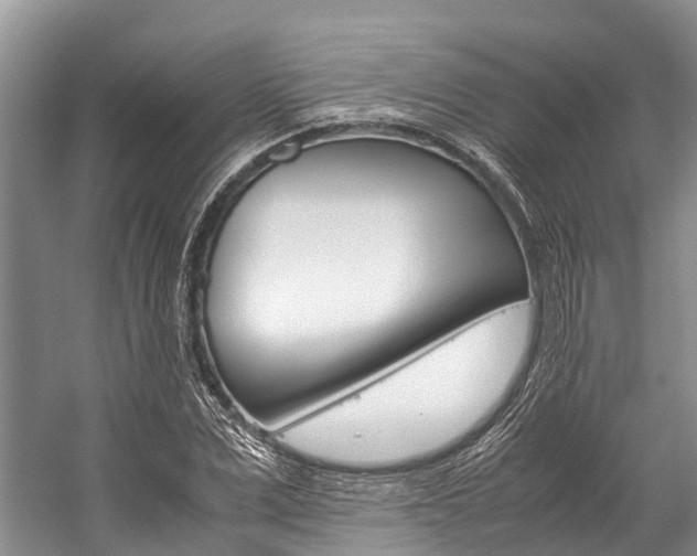 X0000059230975200510140822