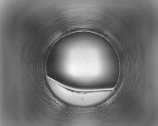 X0000059230977200510140822