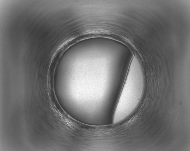 X0000059230979200510140822