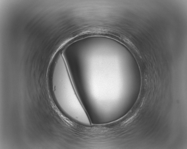 X0000059230981200510140822