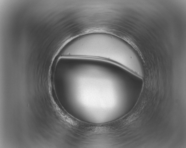 X0000059230984200510140822