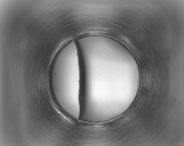 X0000059230986200510140822