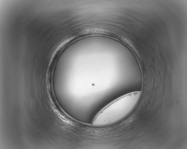 X0000059230987200510140822