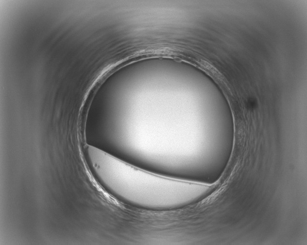 X0000059230989200510140822