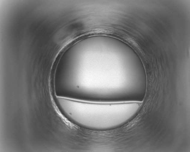 X0000059230991200510140822