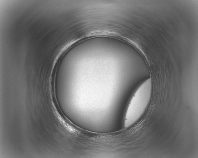 X0000059230995200510140821