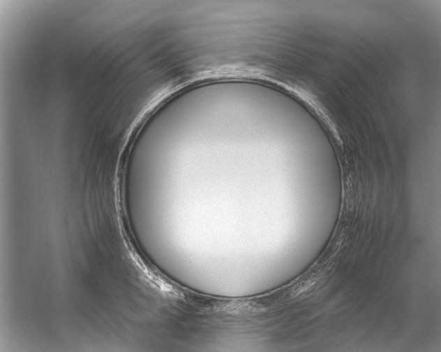 X0000059230998200510140821