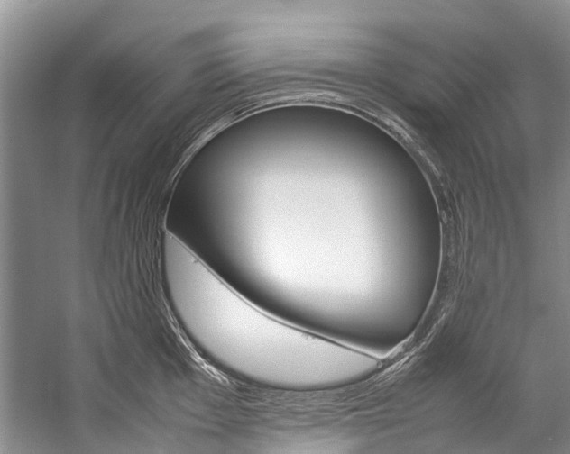 X0000059231001200510140821