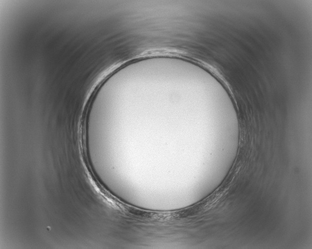 X0000059231003200510140821