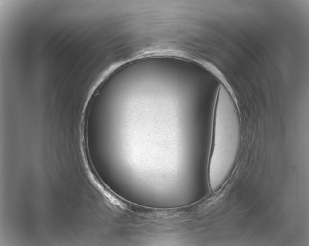 X0000059231005200510140821