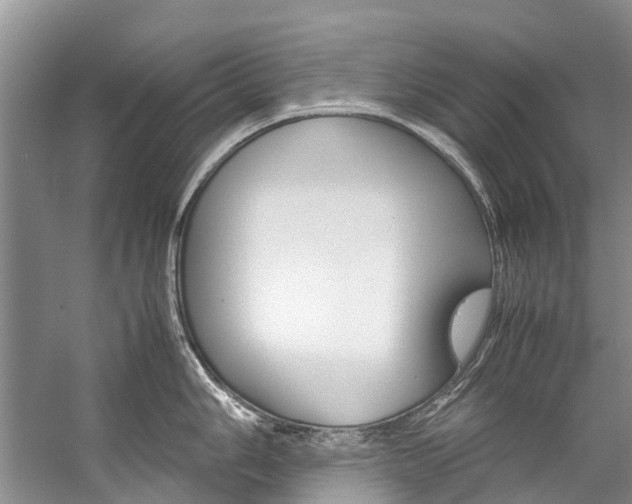 X0000059231006200510140821