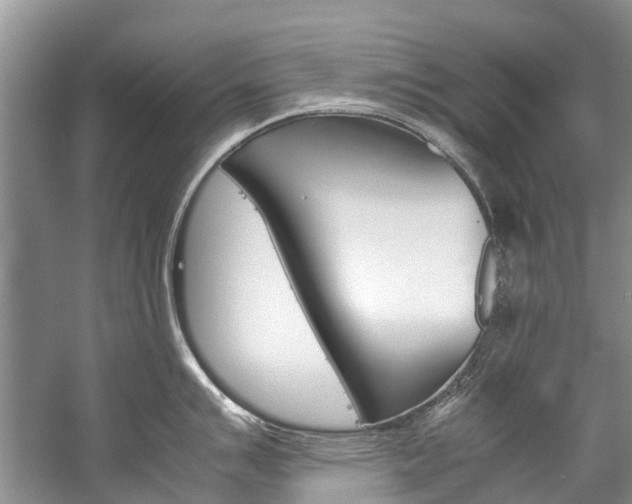 X0000059231007200510140821