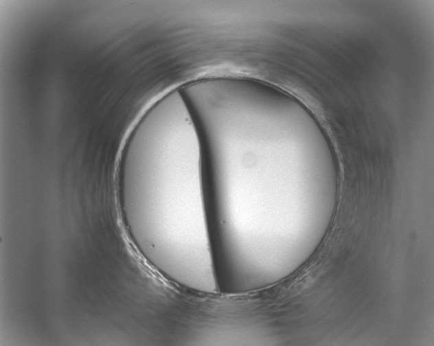 X0000059231008200510140821