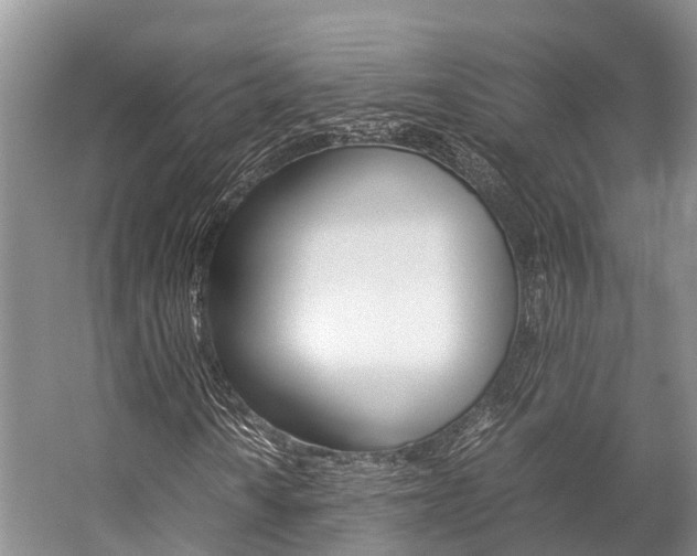 X0000059231010200510140820