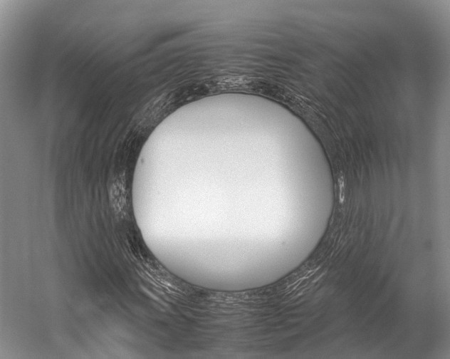 X0000059231011200510140820