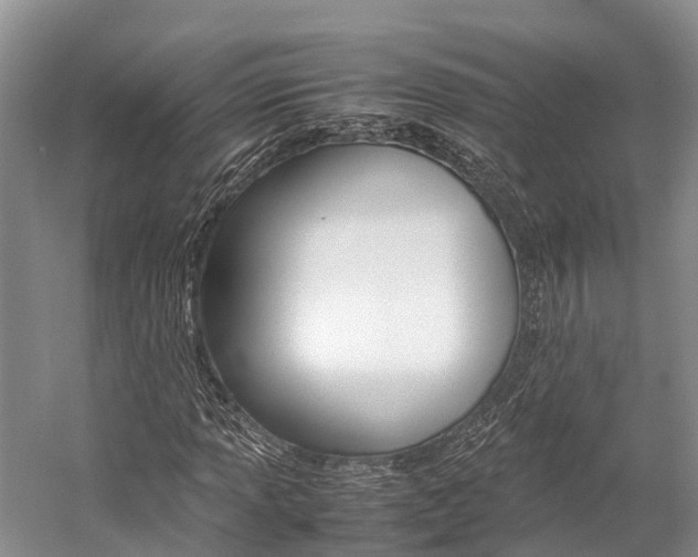 X0000059231013200510140820