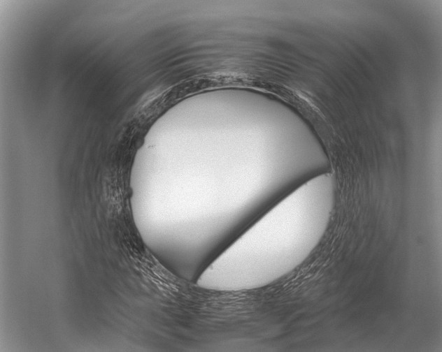 X0000059231015200510140821