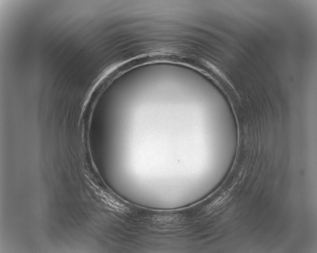 X0000059231021200510140821