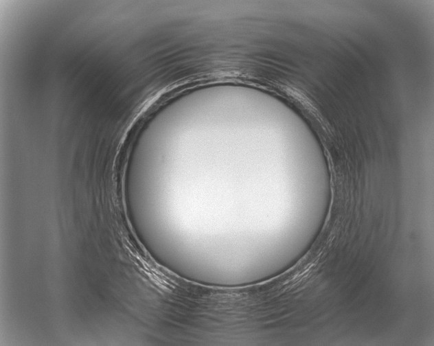 X0000059231023200510140821