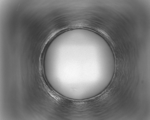 X0000059231031200510140821