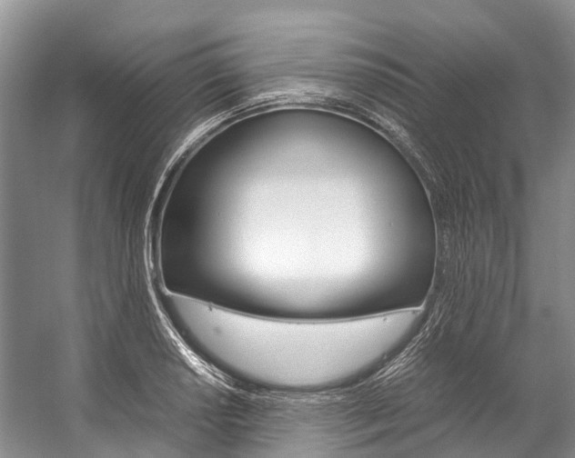 X0000059231034200510140821