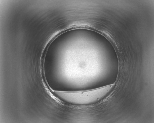 X0000059231038200510140821