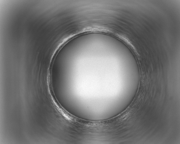 X0000059231040200510140821